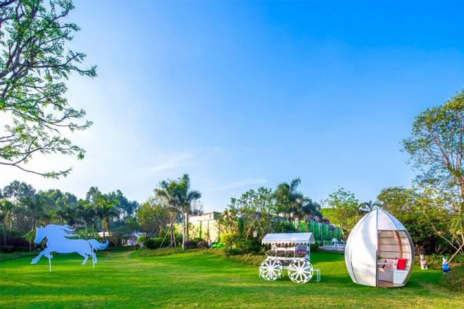 內(nèi)蒙古苗木銷售 內(nèi)蒙古苗木銷售