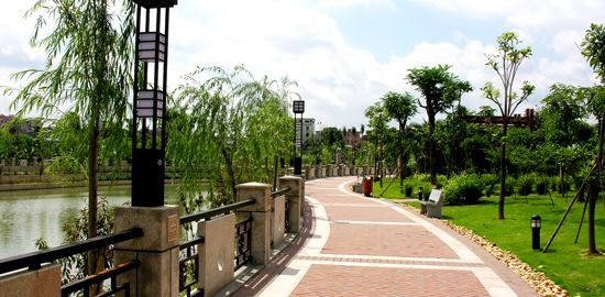 內(nèi)蒙古苗木銷售 內(nèi)蒙古苗木銷售