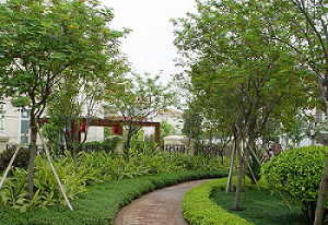 景園苗木與趙君房地產公司合作