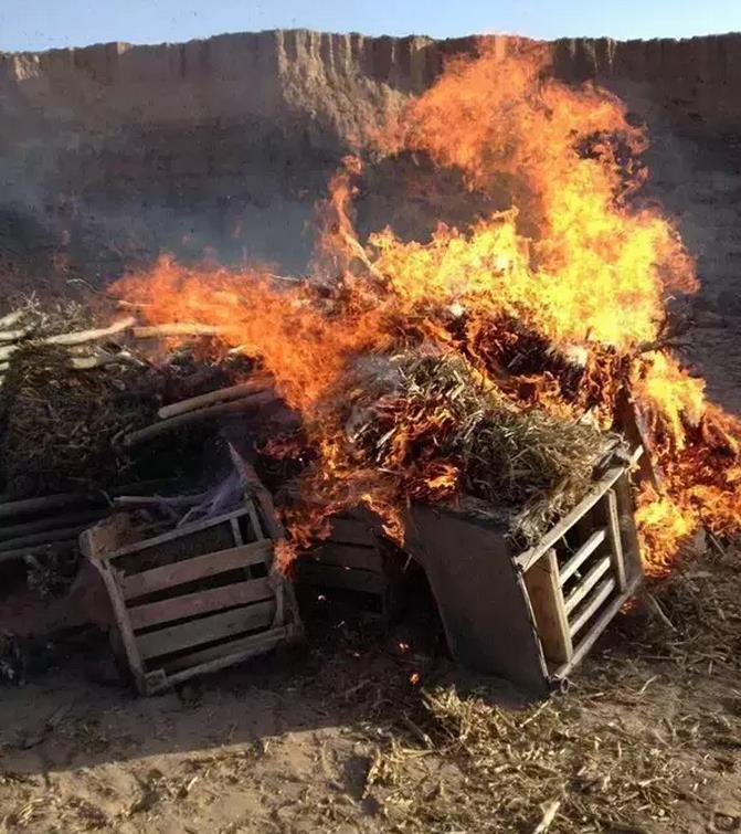 銷毀現(xiàn)場(chǎng) 銷毀現(xiàn)場(chǎng)