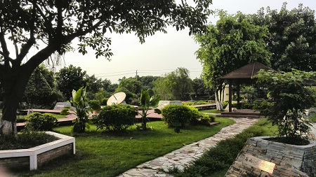 園林在夏季噴藥要注意哪些問題? 園林在夏季噴藥要注意哪些問題?