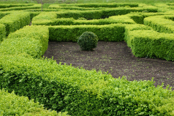 冬季苗木御寒防凍有哪些方面？